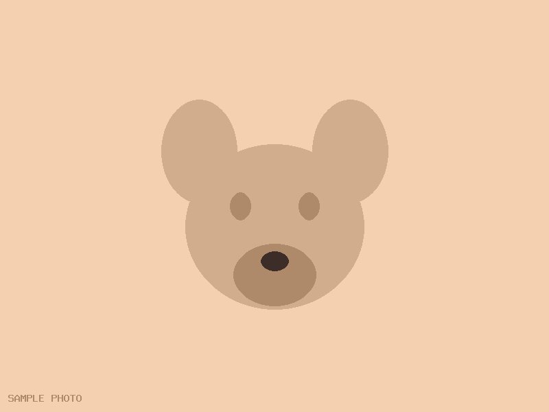 サモエドの子犬